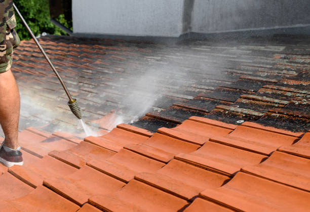 Best Pressure Washing Contractors  in Oakland City, IN